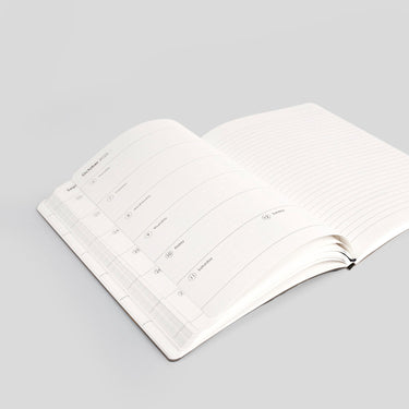 2025 WEEKLY PLANNER - D2 (Box of 36)