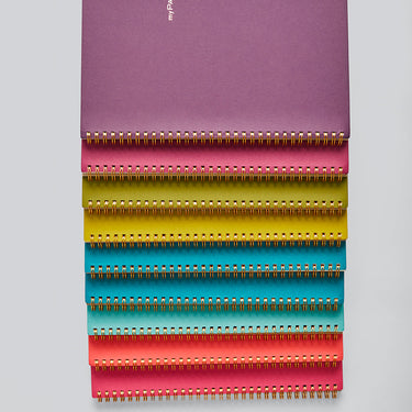 Limited Edition Gold Wiro - XL (Box of 24)